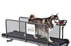 Dashing Doggy Exercise Gear