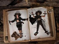 Model-Collecting Photography Image 6