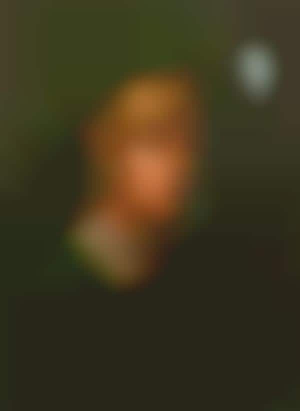 Adventure Game Artistry