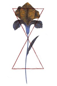 Geometric Animal Illustrations Image 4