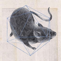 Geometric Animal Illustrations Image 8