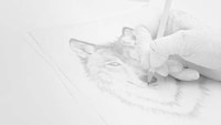 All-White Appliance Ads Image 4