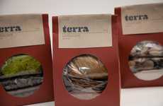 Earthy Plant Branding