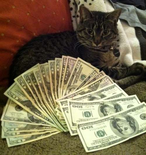 Filthy Rich Felines