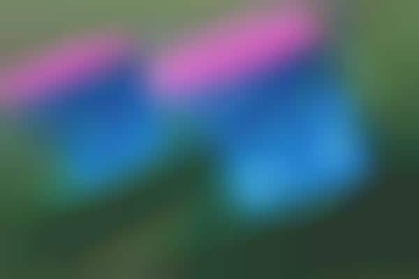 Fanciful Furry Toilets