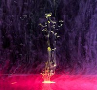 Cloudy Neon Captures Image 4