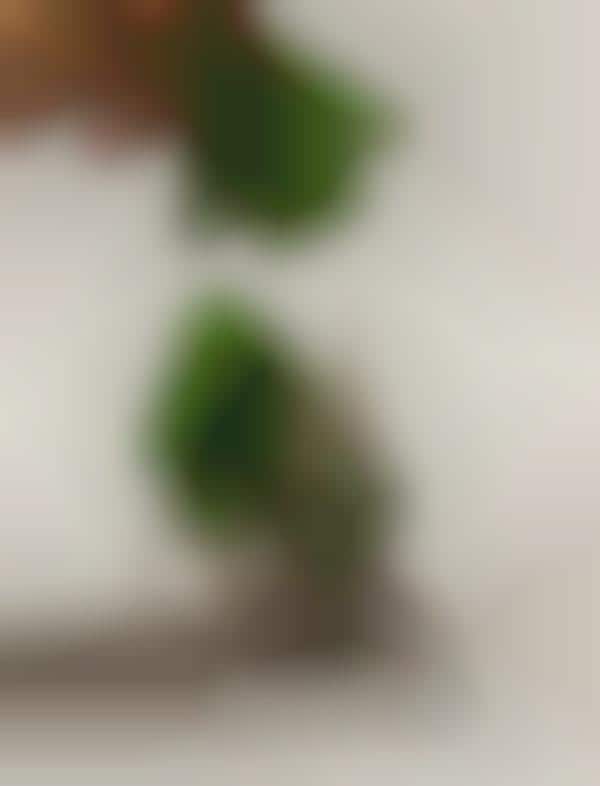 Seasonal Steepable Spruces