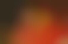 Toronto Editorial Internships