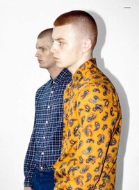 Cloned Plaid Pictorials Image 6