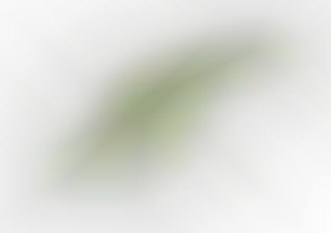 Undulating Contour Architecture