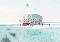 Squid-Like Jetty Structures Image 2