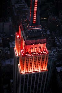 Animal Rights Tower Lights Image 2