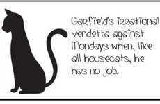 Cute Kitty Complaints