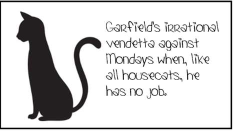 Cute Kitty Complaints
