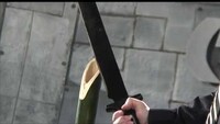 Hybrid Samurai Blades Image 4