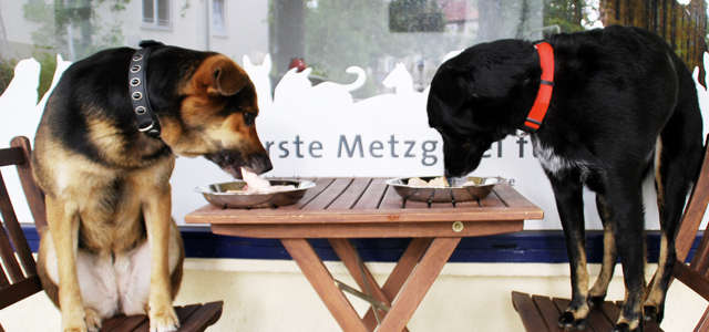Organic Pet Eateries