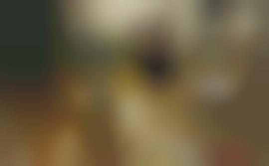 Politically Incorrect Trailers