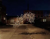Flocking Object Photography Image 2
