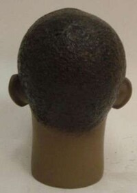 Plasticized Presidential Dummies Image 6