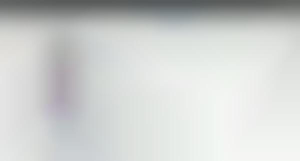 Frosty Search Engine Features