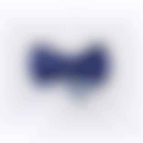 Bold Breakable Bow Ties