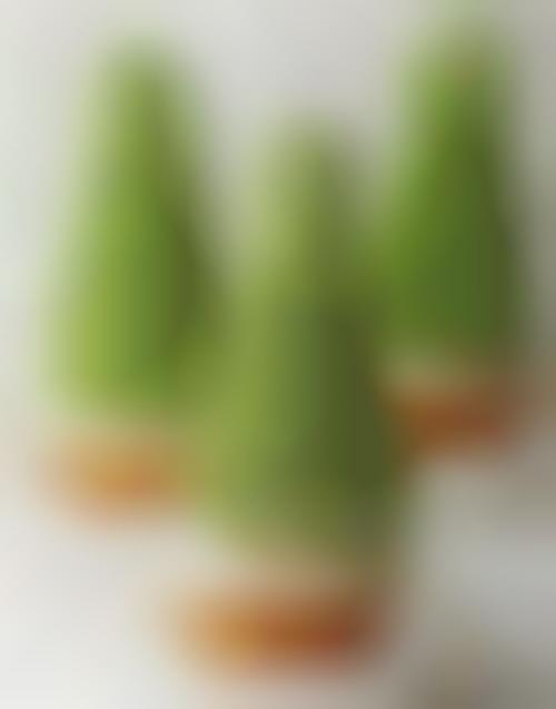 Festive Tree-Topped Cakes