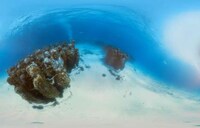 Adventurist Video Campagins  Image 8