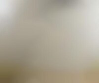 Thermoformed Decor Wallpaper Image 1