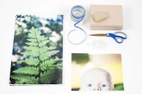 Personified Holiday Packages Image 4