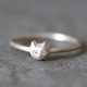 Elegant Feline Jewelry Image 2