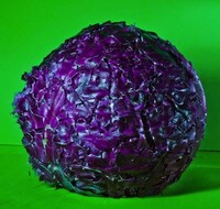 Green Grenades Captures Image 8