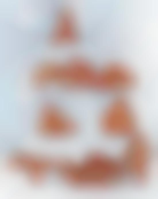 Flexible Holiday Biscuits