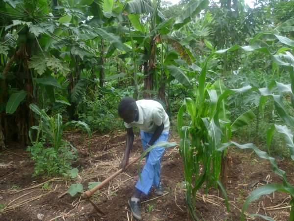 Youthful Entrepreneur Projects