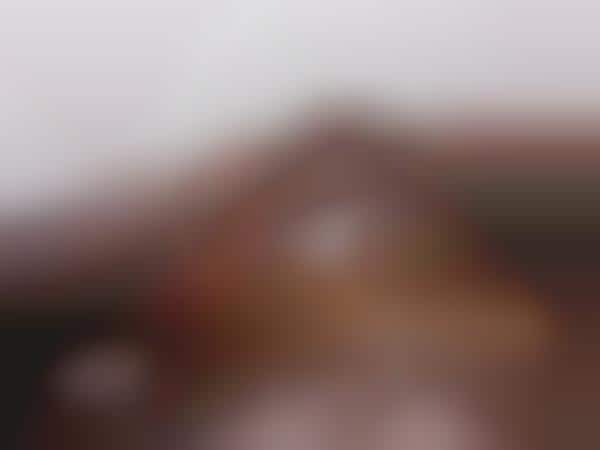 Painterly Landscape Captures