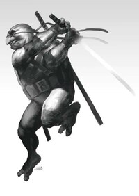 Deadly Mutant Tortoise Depictions