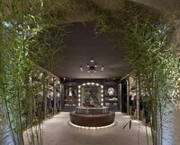 Calm Plant-Filled Boutiques