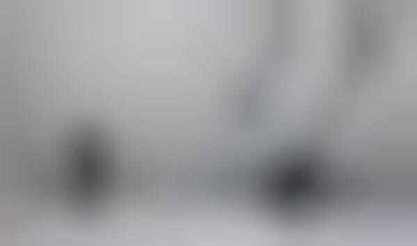 Agressively Voyeuristic Artwork