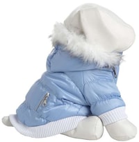 Playful Pooch Winter Wear Image 4
