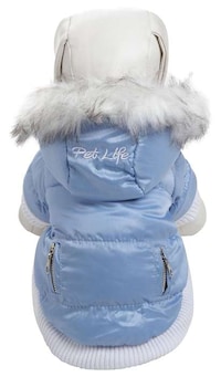 Playful Pooch Winter Wear Image 5
