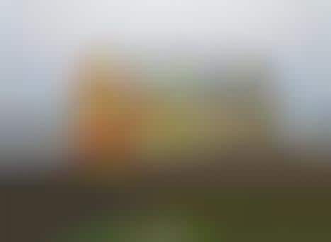 Apothecary Tropical Toiletries