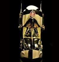 Golden Boarder Gear Image 5