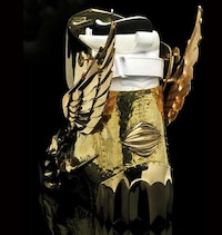 Golden Boarder Gear Image 6