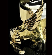Golden Boarder Gear Image 8