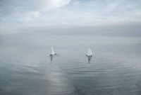 Minimalist Waterscape Captures Image 2