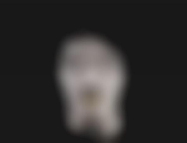 Flammable Celeb Busts (UPDATE)