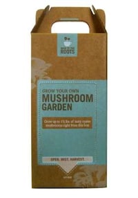 Coffee Ground Mushrooms Image 4