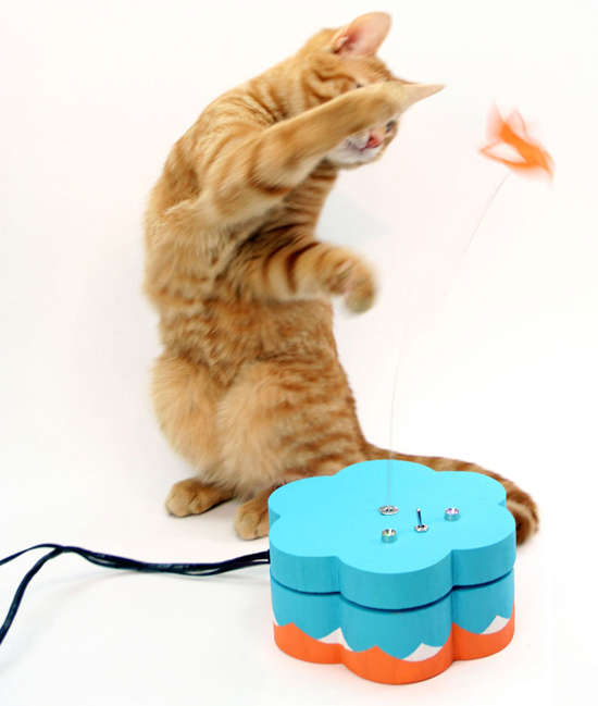 Social Media Cat Toys