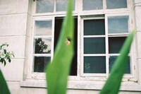 Bold Deceptive Captures Image 8