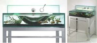 Exotic Aquarium Decor Image 5