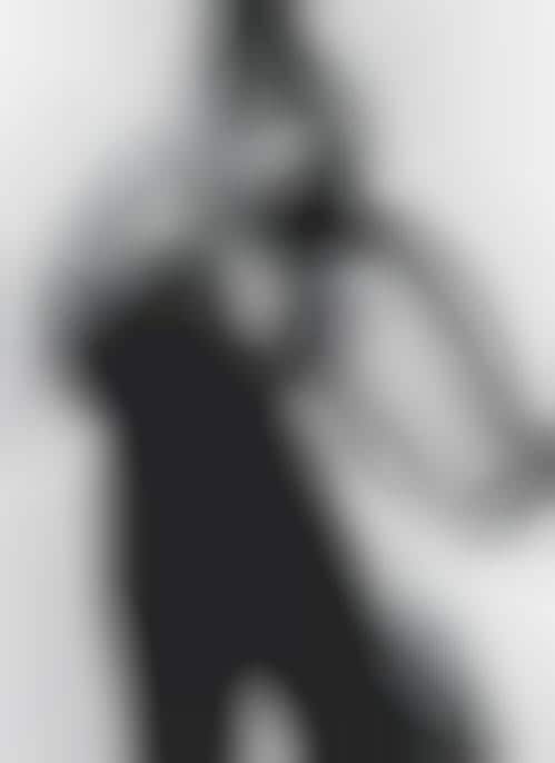 Machine-Morphing Nude Photos